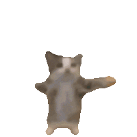 Cat3